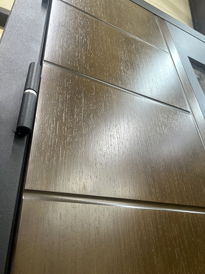 NEW! Остекленная дверь с терморазрывом и биометрическим замком для дома